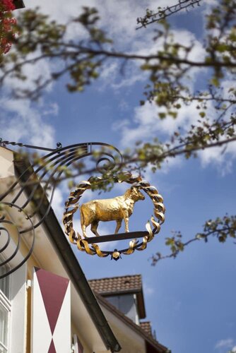 Гостиница Hotel Das Goldene Lamm