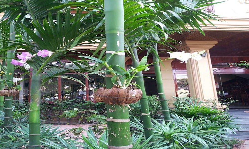 Фото Angkor Vattanak Pheap Hotel