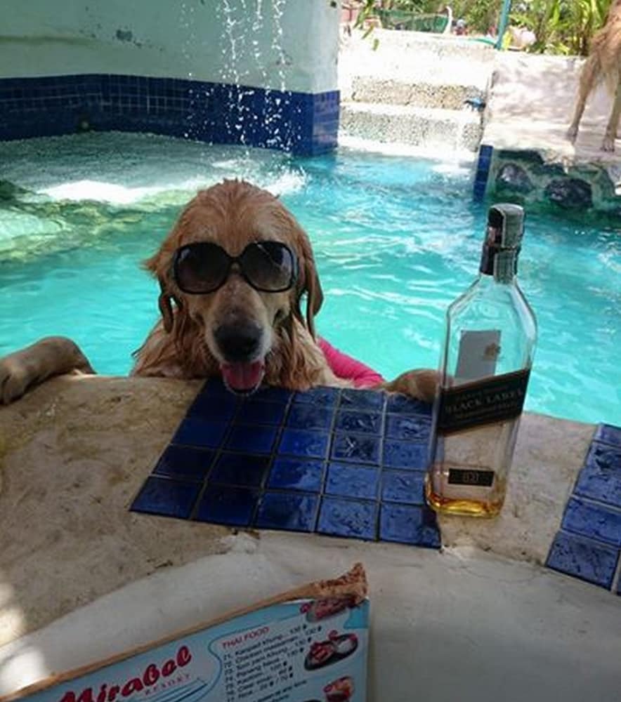 Фото Mirabel Resort & Mini Golf