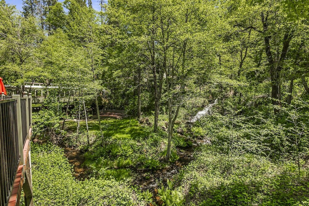 Фото Northern Queen Inn