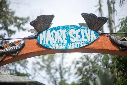 Гостиница Madre Selva Jungle Hostel