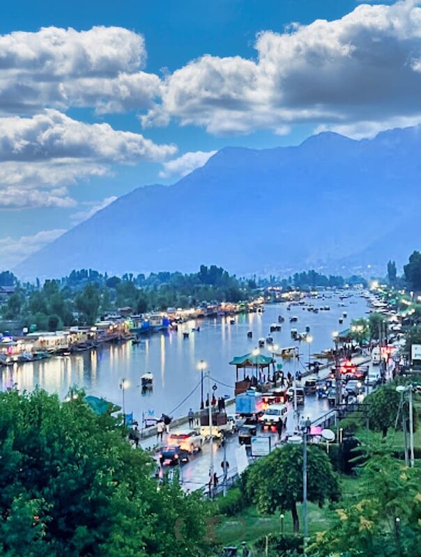 Гостиница The Vintage Srinagar at Dal Lake в Сринагаре