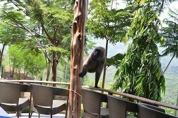 Гостиница Mora Heights Hotel в Арба-Мынч