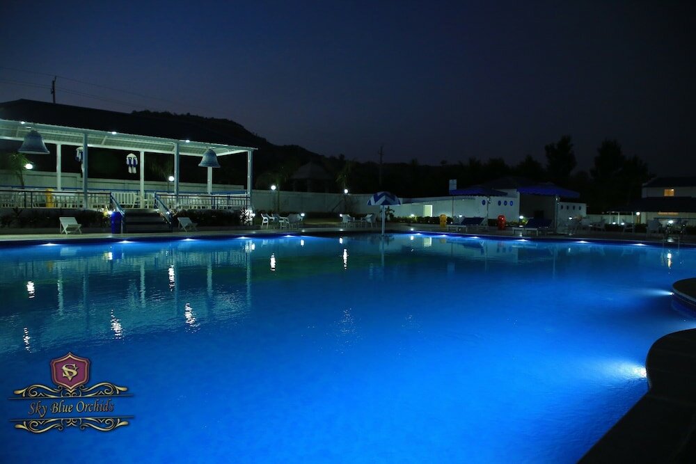 Фото SV Sky Blue Orchids