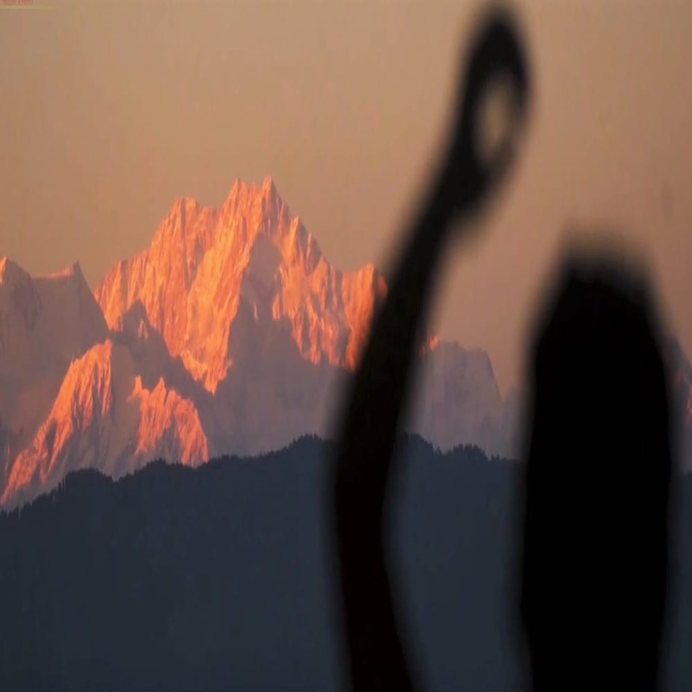 Фото Amaira Resort & Farms - Mirik, West Bengal