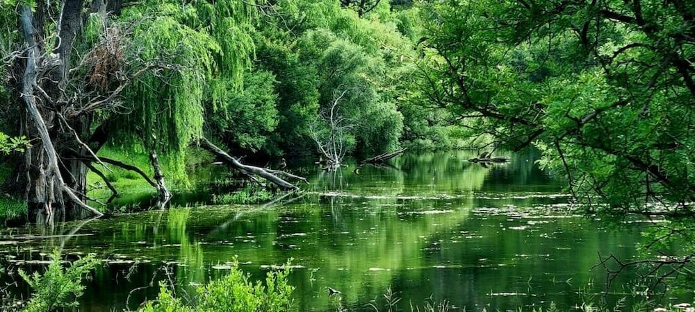 Фото Blanco Guest Farm