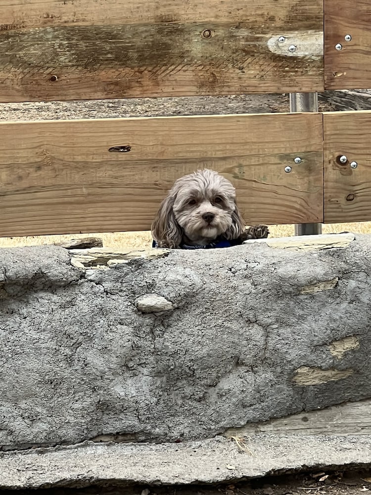 Фото The Hearts Desire B & B