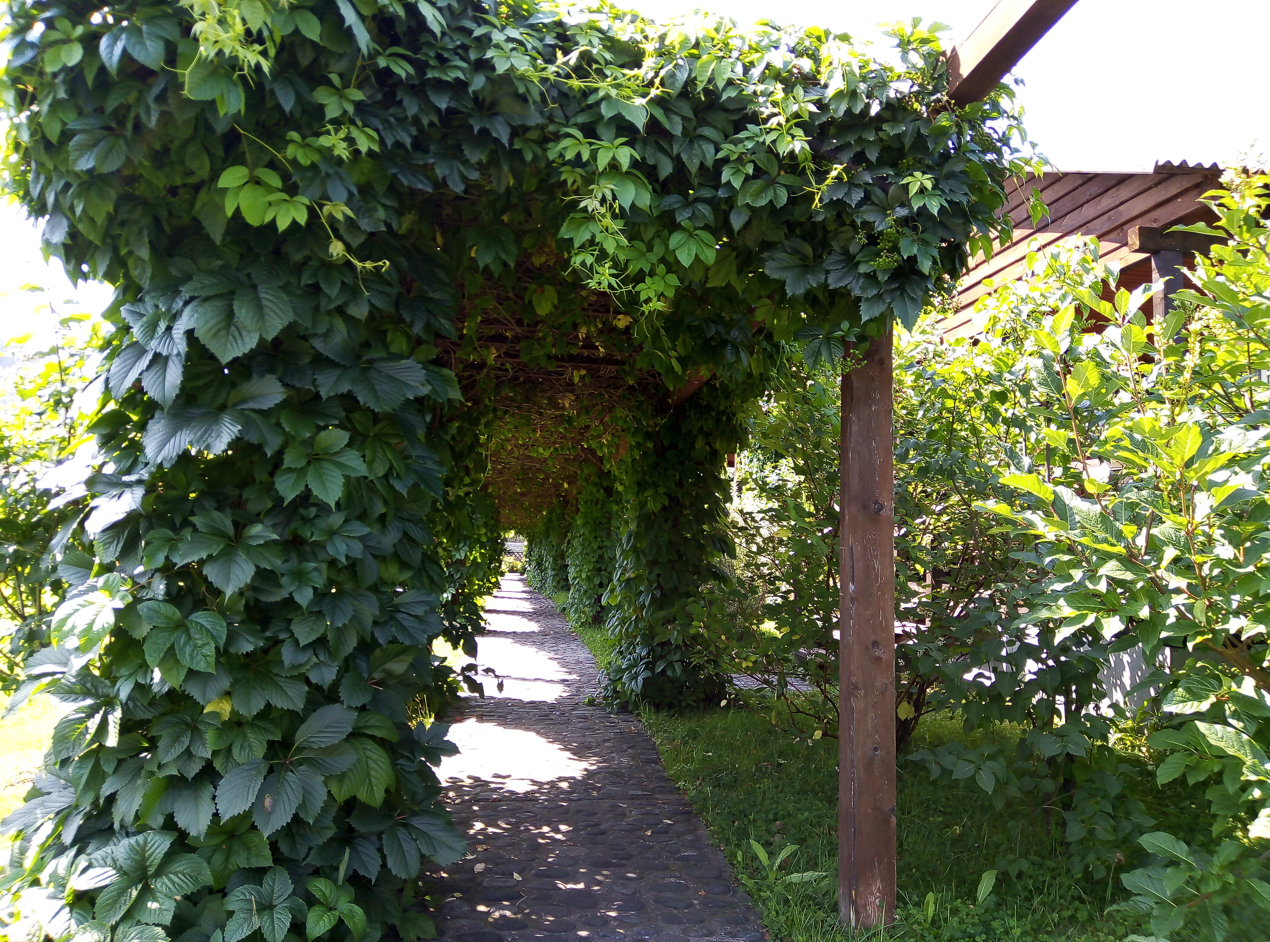 Фото Усадьба толстяка МО