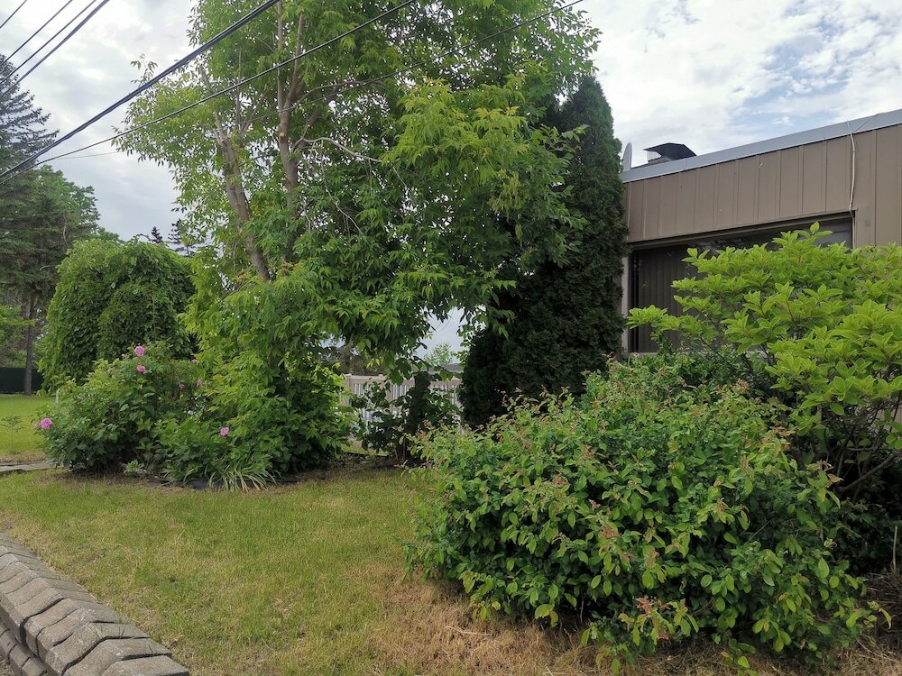 Фото Motel Sainte Catherine