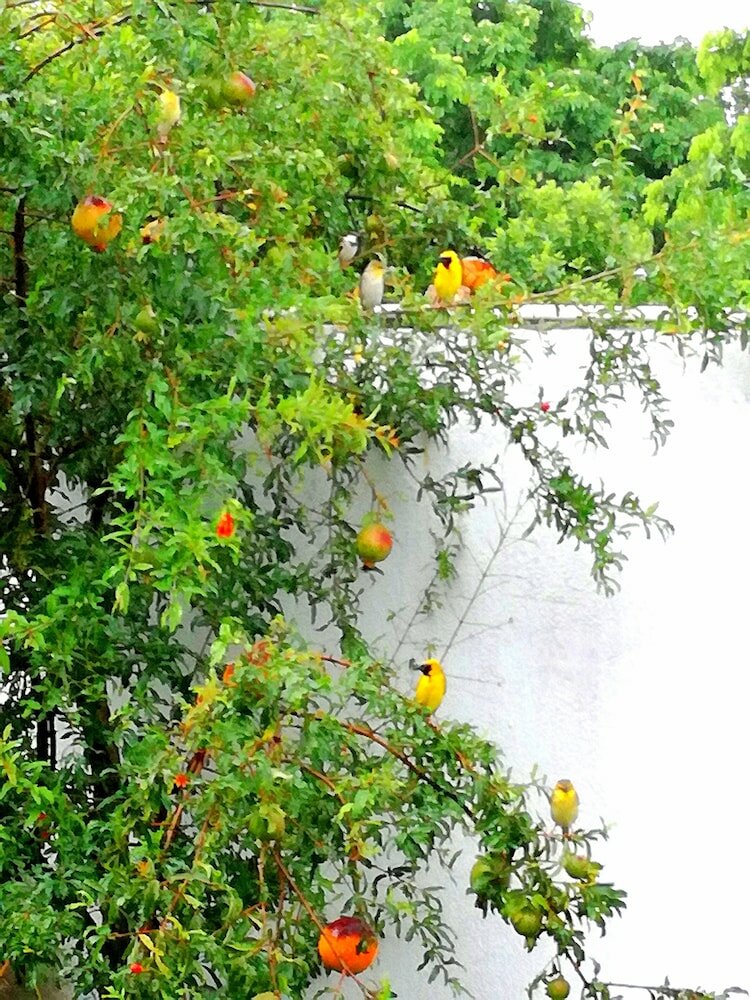 Фото St Exupéry chambre d'hôtes