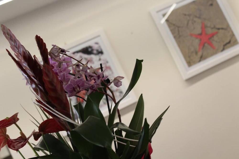 Фото Hotel Mauri