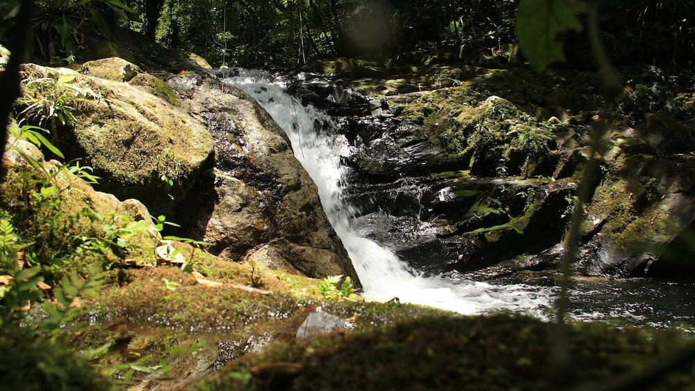 Фото Junglez Eco Hostel