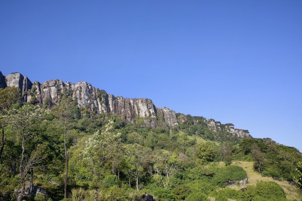 Фото 95847761184