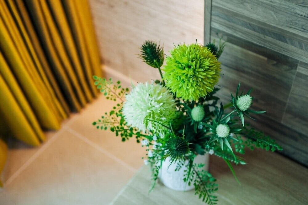 Фото Vernazza Pension