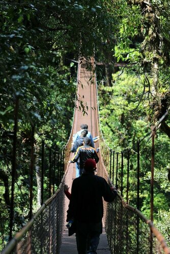 Гостиница Tree Trek Boquete Adventure Park
