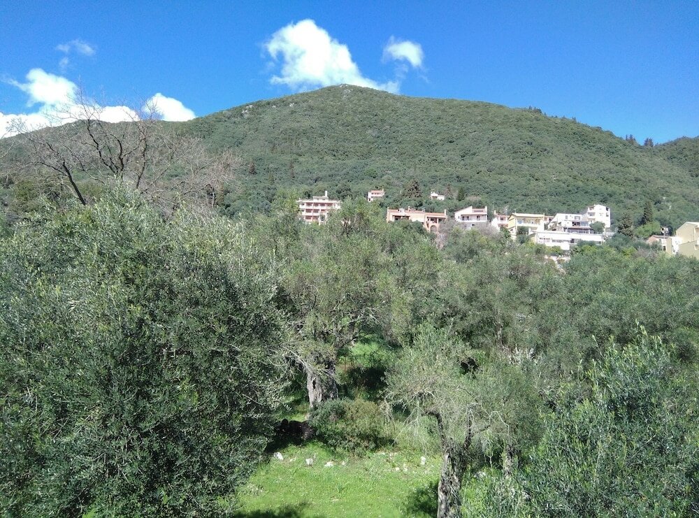 Фото Comfy Hostel Studios