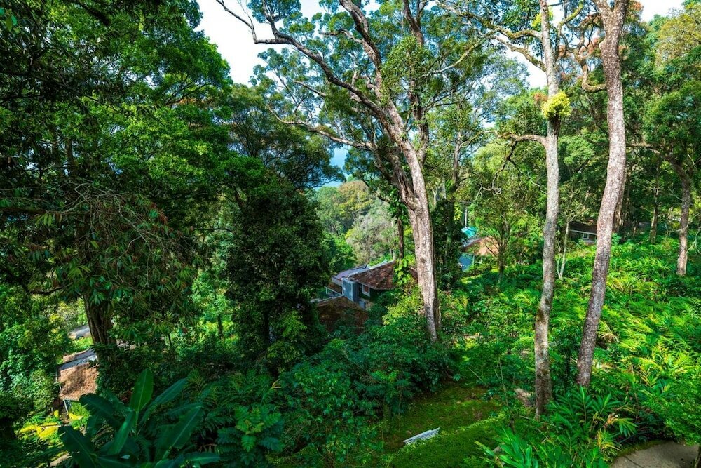 Фото The Tall Trees Munnar