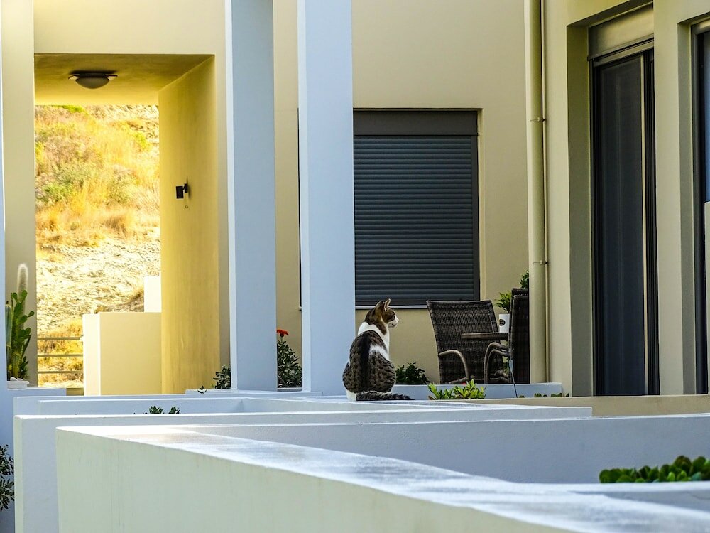 Фото Plakias Suites