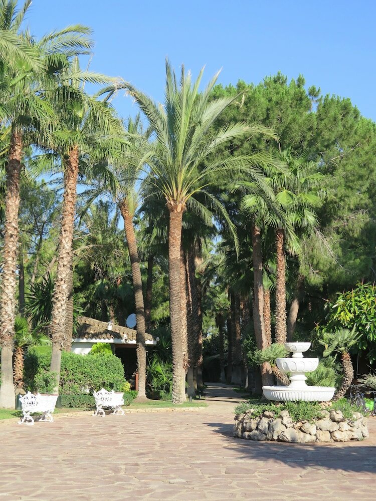 Фото El Oasis