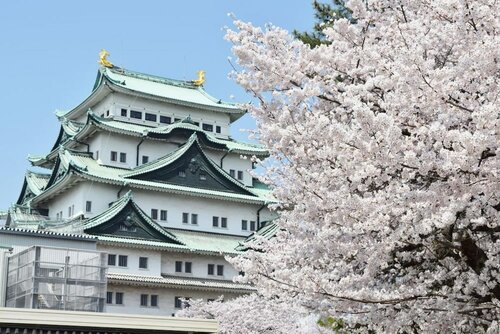 Гостиница Hotel Nature Nagoyasakae в Нагое