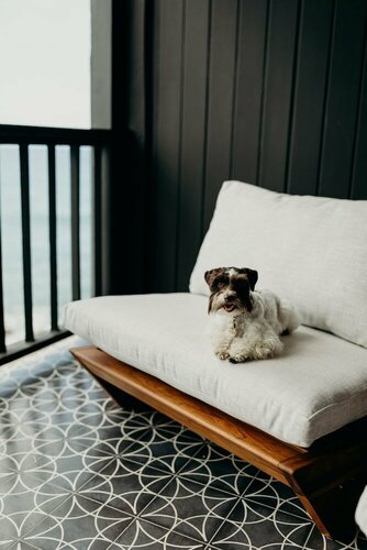 Гостиница The Waves at Cane Bay на Сен-Круа