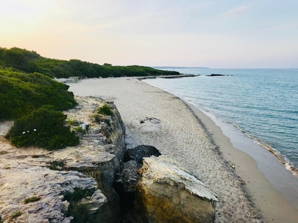 Фото Tenuta Turchi