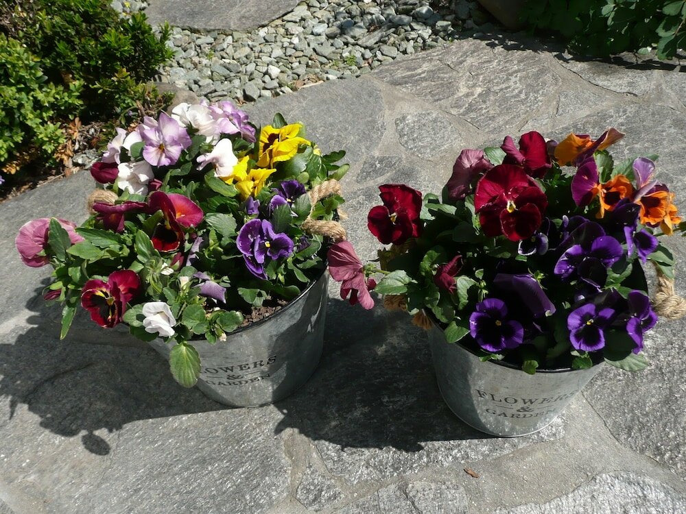 Фото Kershaw House Boutique Accommodation