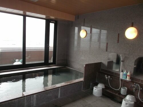Гостиница Hirosaki Ekimae Hotel в Хиросаки