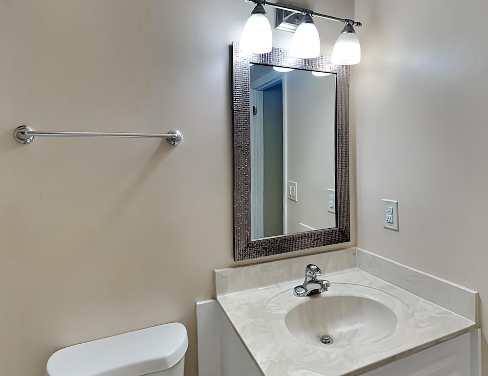 Фото Sea Urchin 39