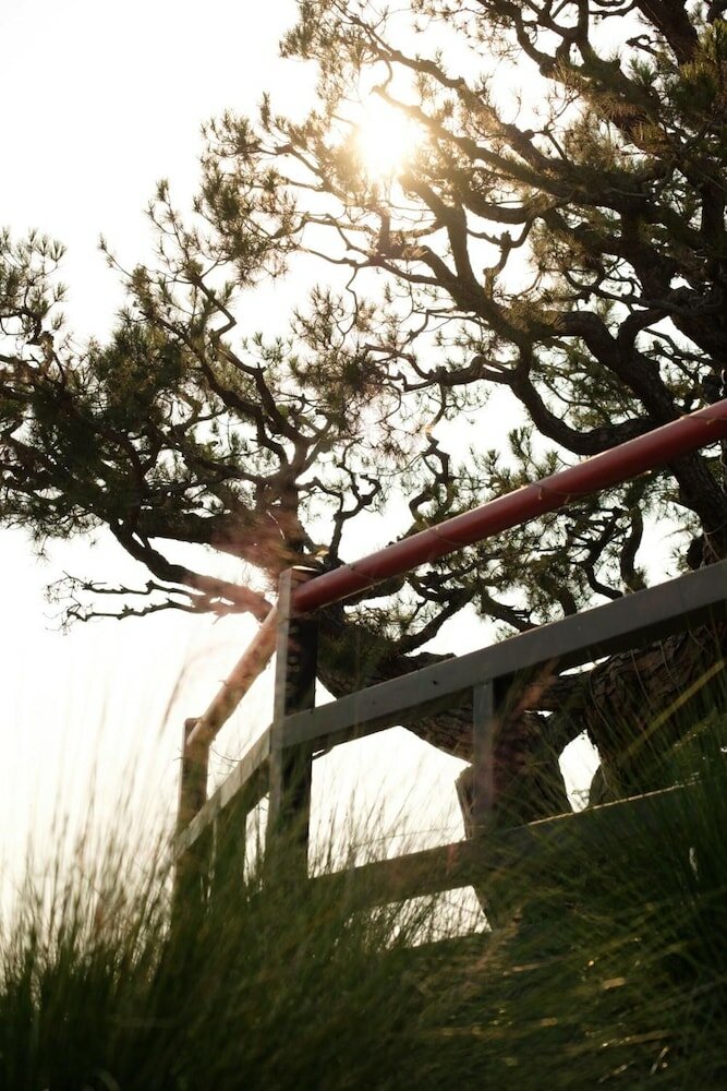 Фото Hollywood Hills Hotel