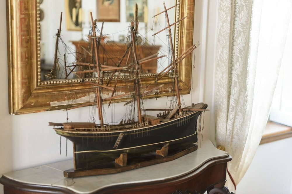 Фото Cotommatae Hydra 1810