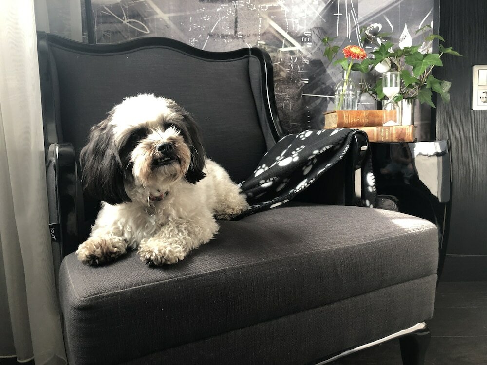 Фото Radisson Blu Riverside Hotel, Gothenburg