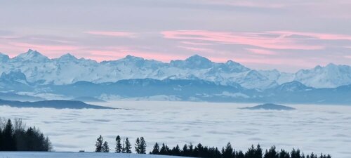 Гостиница Bio- und Wellnesshotel Alpenblick