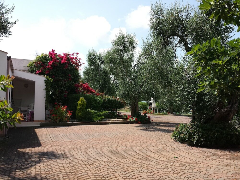 Фото Residence Alba