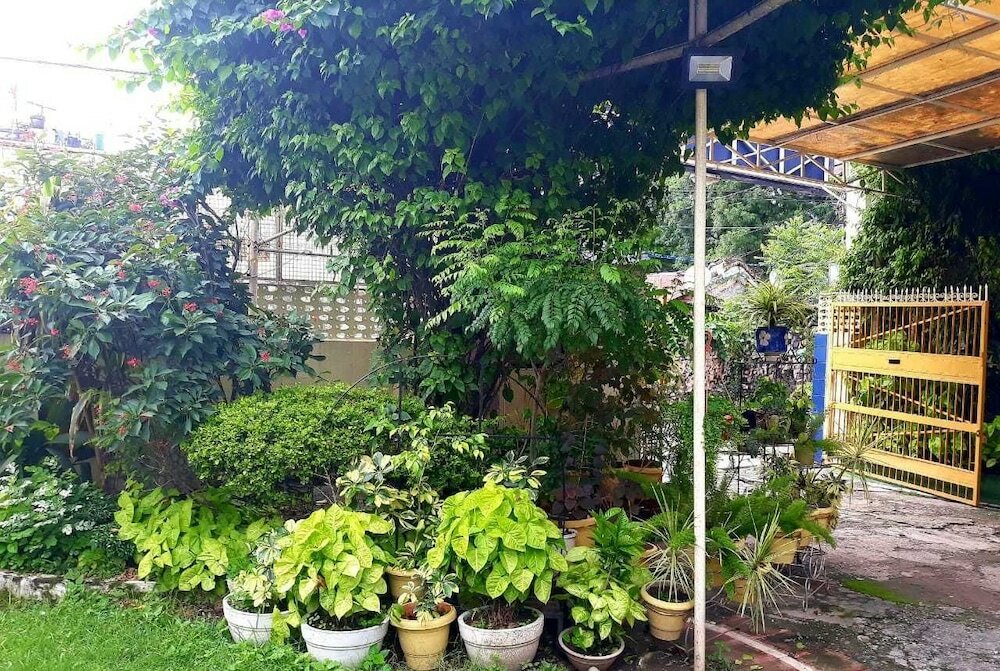 Фото Hotel Pathik