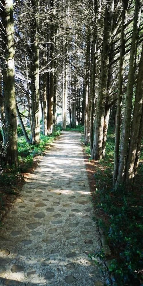 Фото Amazian Mountain River Lodge