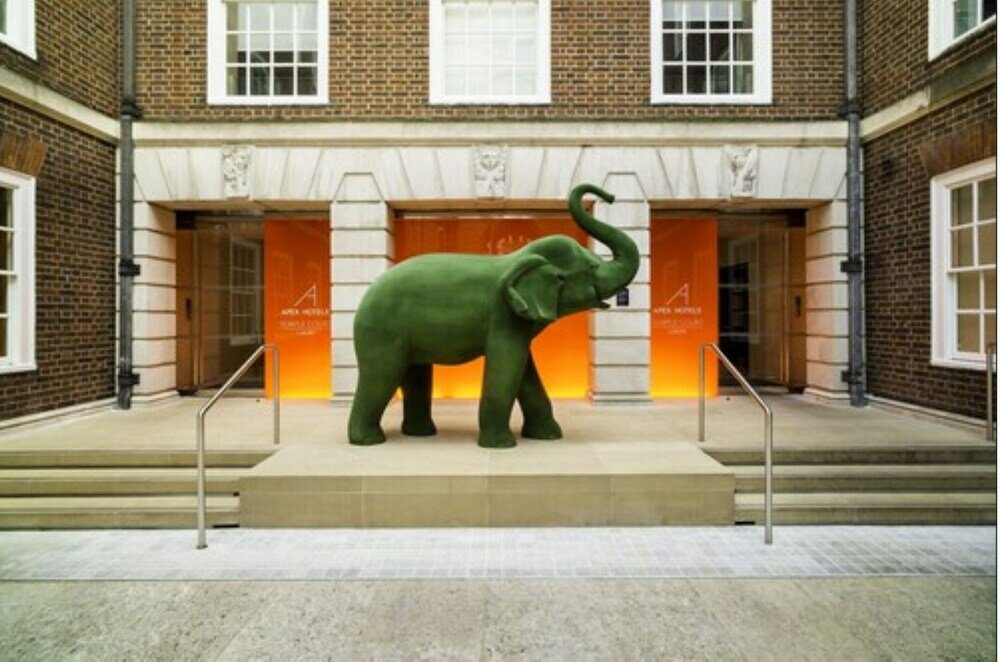 Фото отеля 4