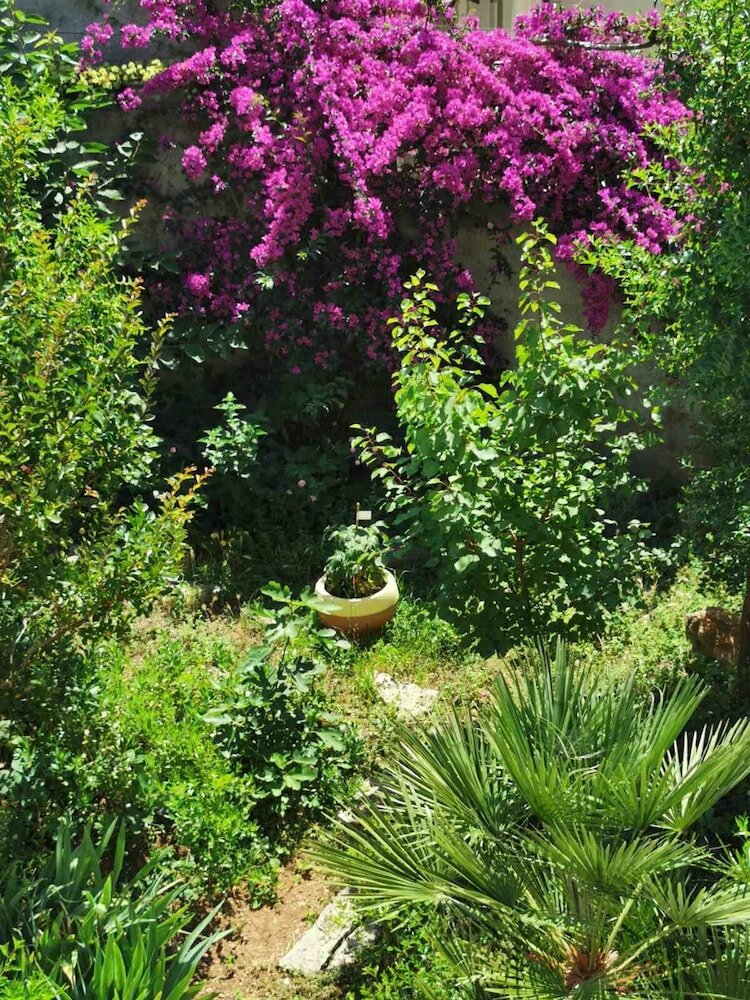 Фото Apartment Luka