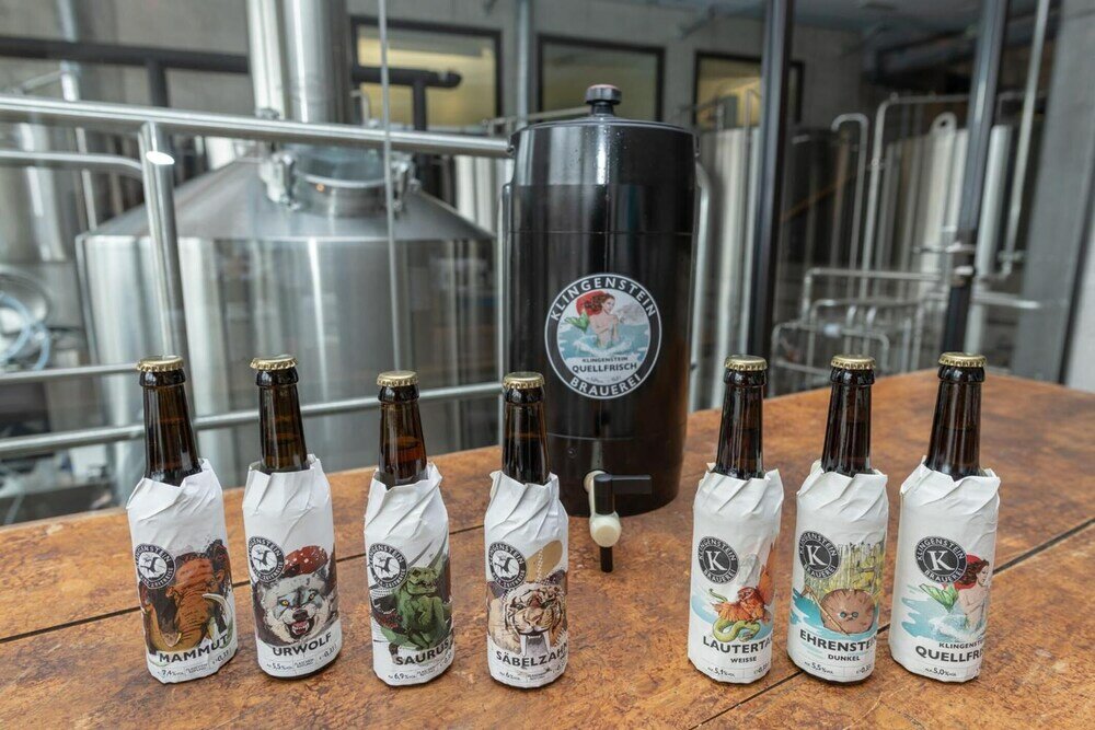 Фото Hotel-Wirtshaus-Brauerei Klingenstein