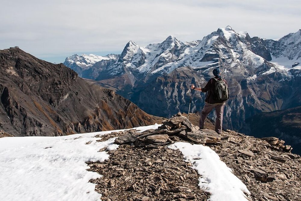 Фото Pension Gimmelwald