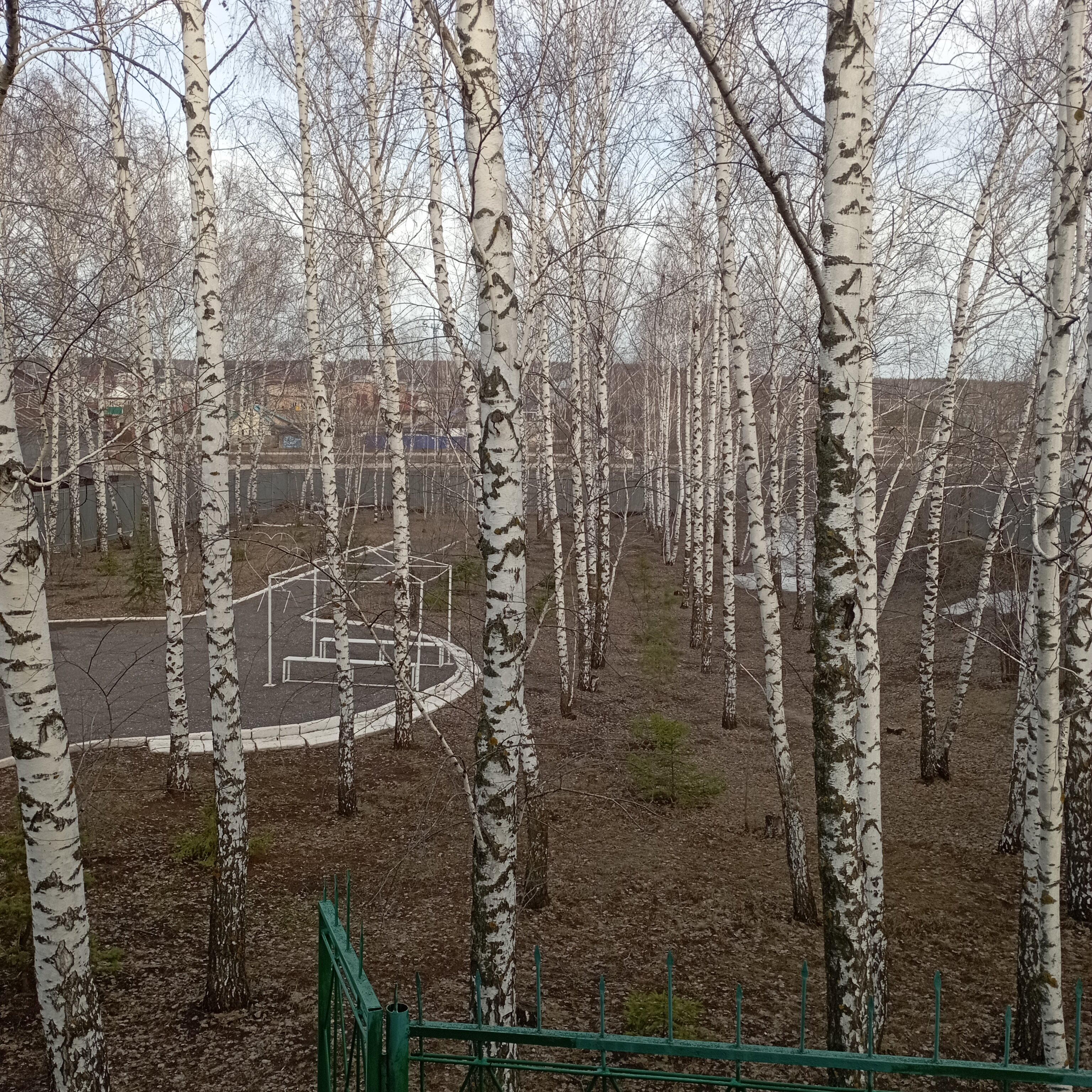 Фото Альянс