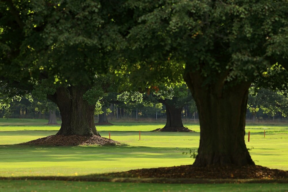Фото Penzion Černická obora