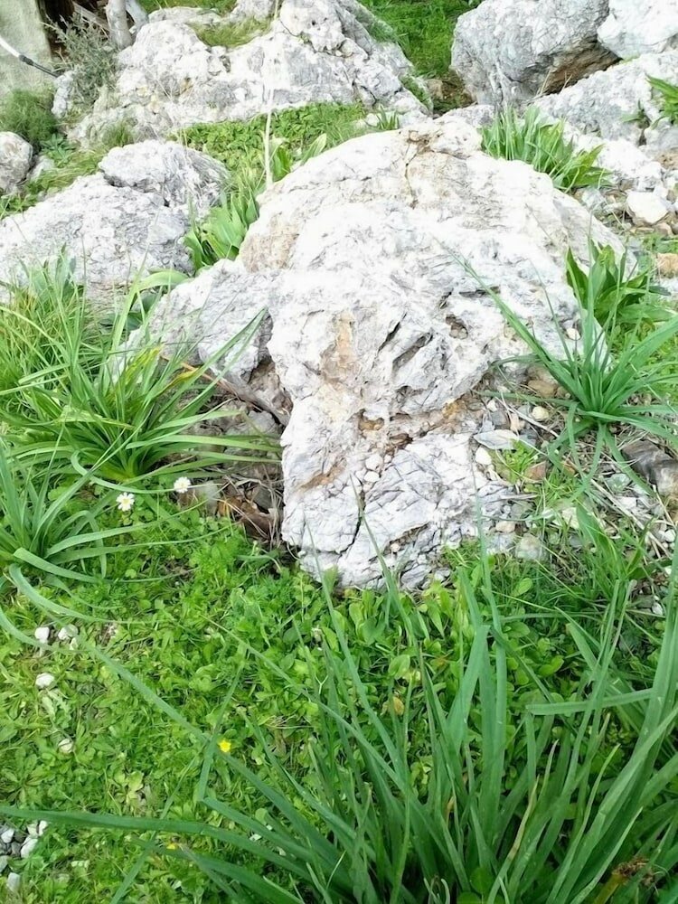 Фото Akropolis Studios