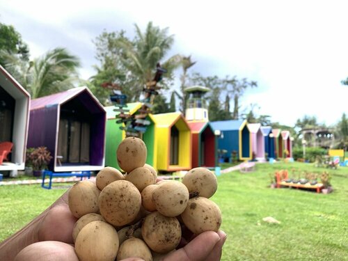 Гостиница Lanzones Cabana в Провинции Камигин