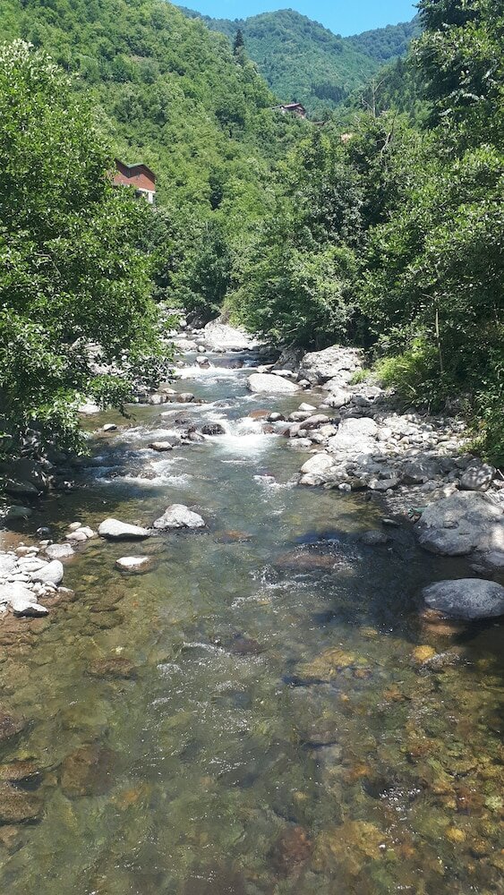 Фото Adas Dag Evi & Restoran