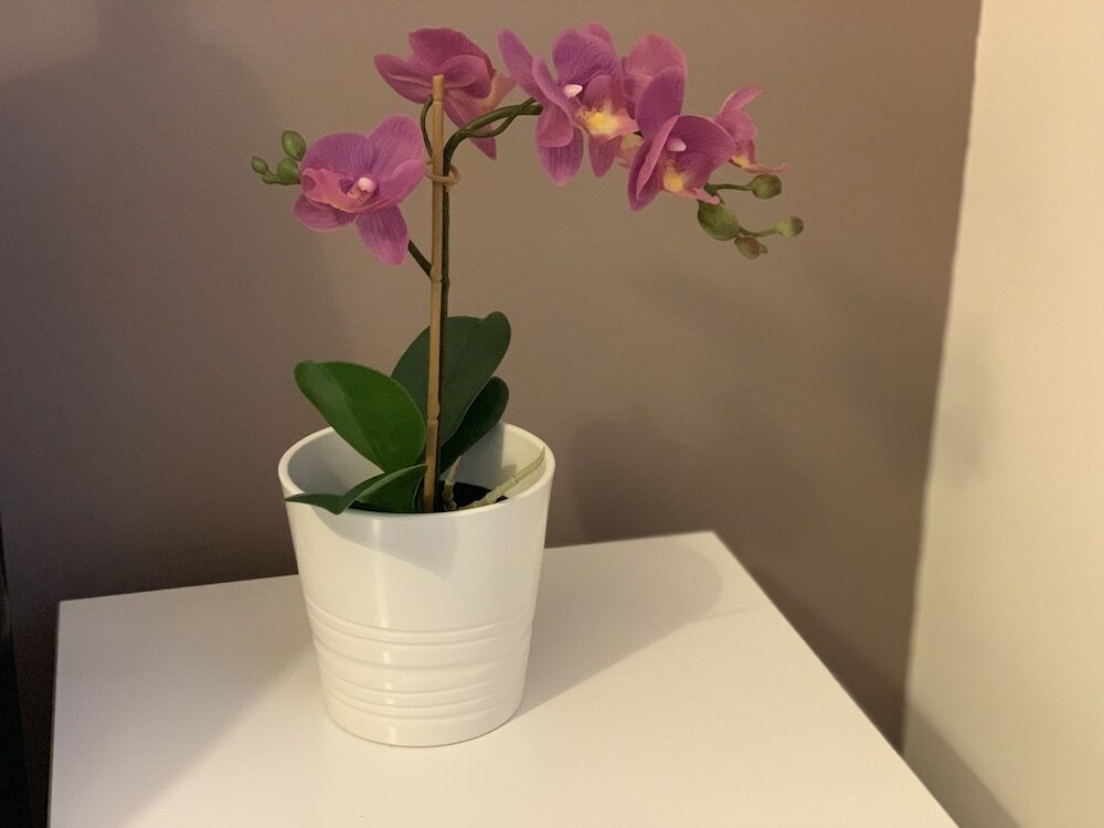 Фото Gordon House