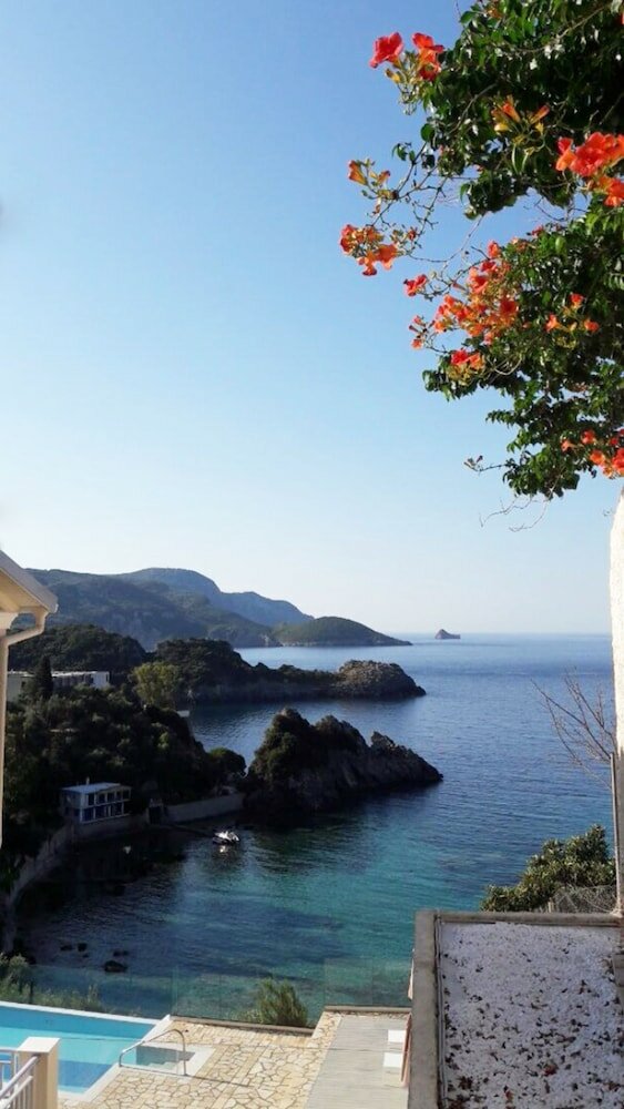 Фото Platakia Blu