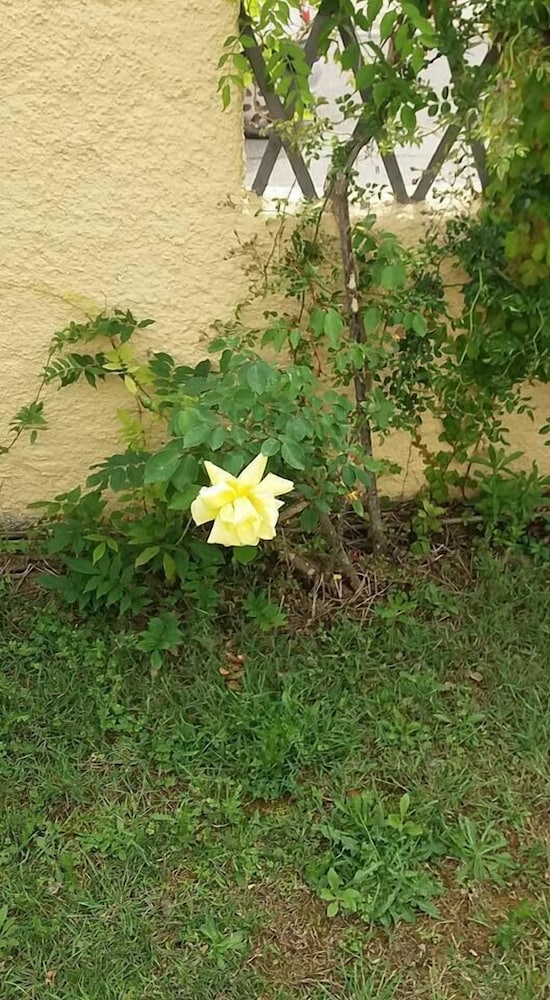 Фото Villa Marilena