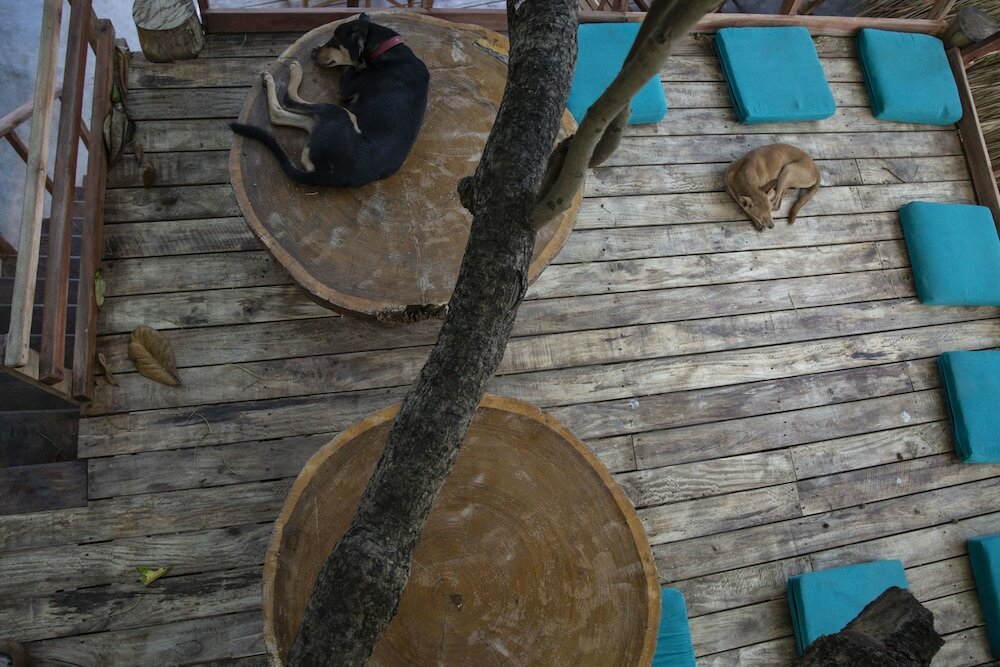 Фото Waypoint Arugam Bay