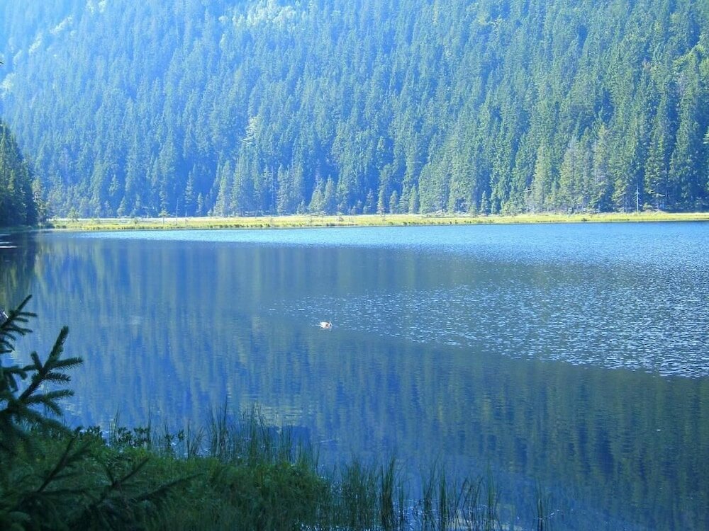 Фото Pension Reindlhöh